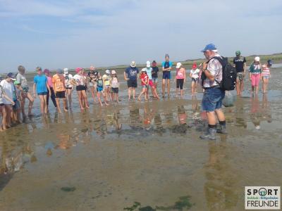 News aus Langeoog vom 25.07.19